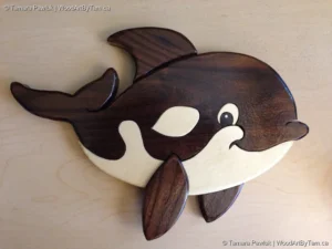 Intarsia Orca