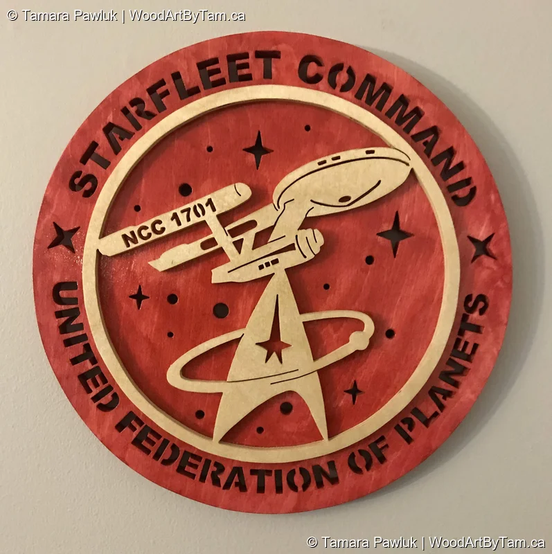 Star Trek Plaque