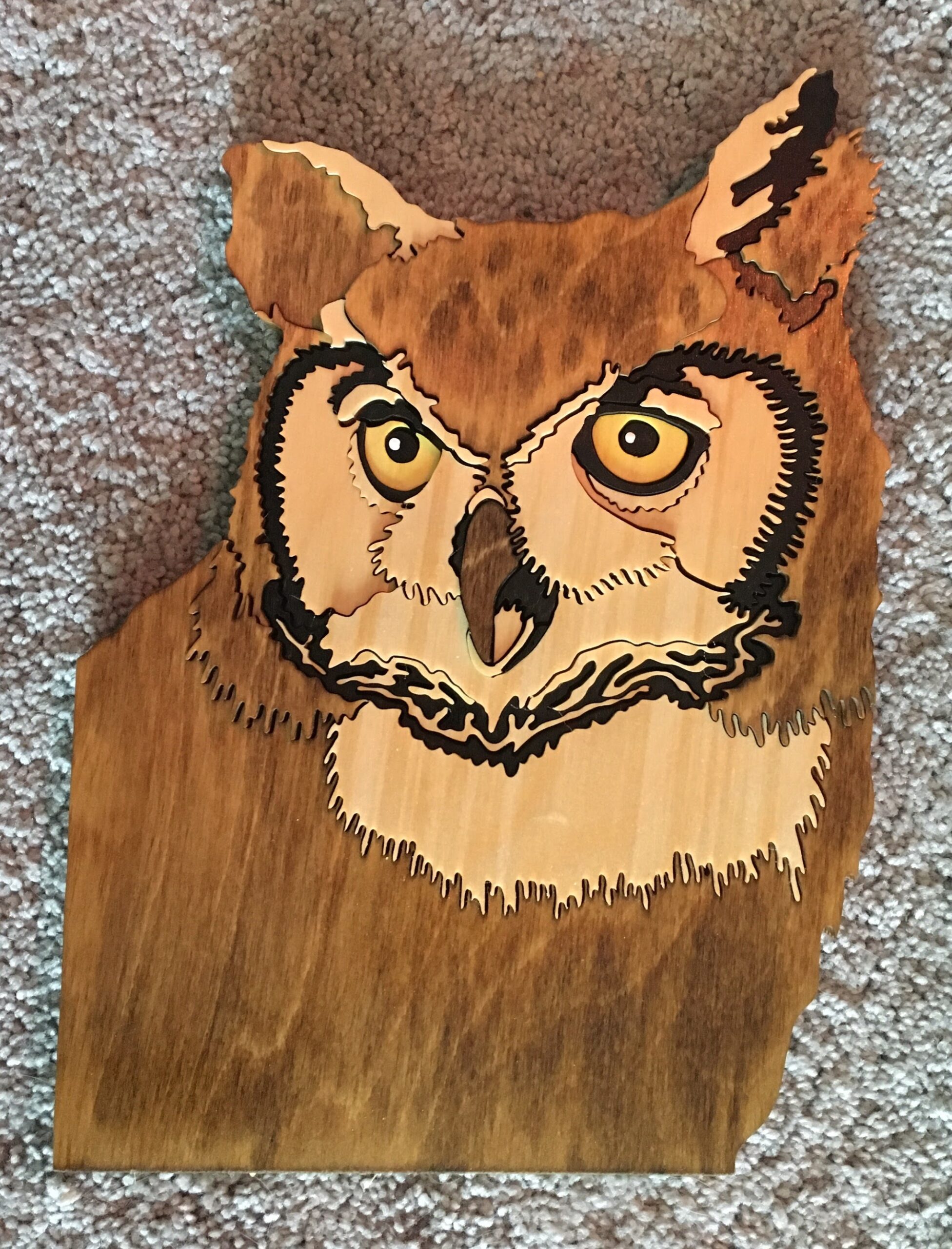 Segmentation Owl