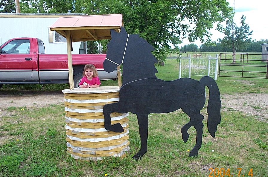 Giant Horse Shadow