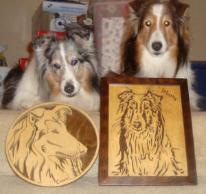 Shelties