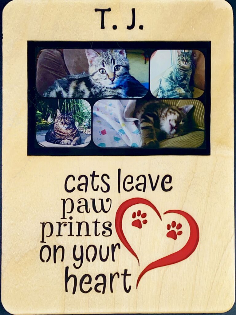 Kitteh Memorial Frame